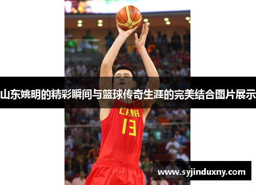 山东姚明的精彩瞬间与篮球传奇生涯的完美结合图片展示