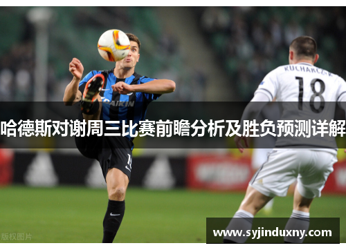 哈德斯对谢周三比赛前瞻分析及胜负预测详解
