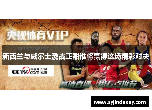 新西兰与威尔士激战正酣谁将赢得这场精彩对决