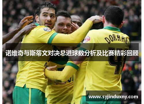 诺维奇与斯蒂文对决总进球数分析及比赛精彩回顾